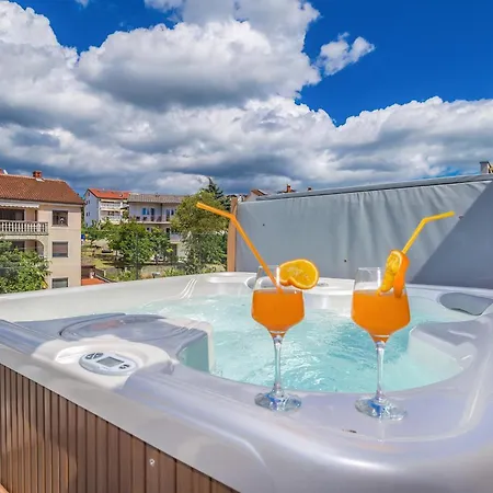 Modern With Heated Pool, Hot Tub And Sauna Villa Malinska